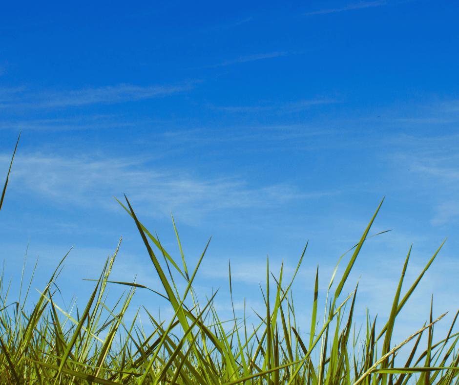 Roofing Maintenance Tips